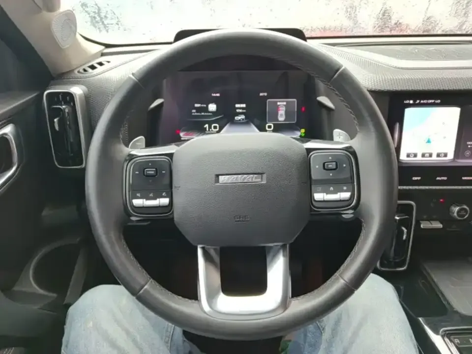 Haval Big Dog