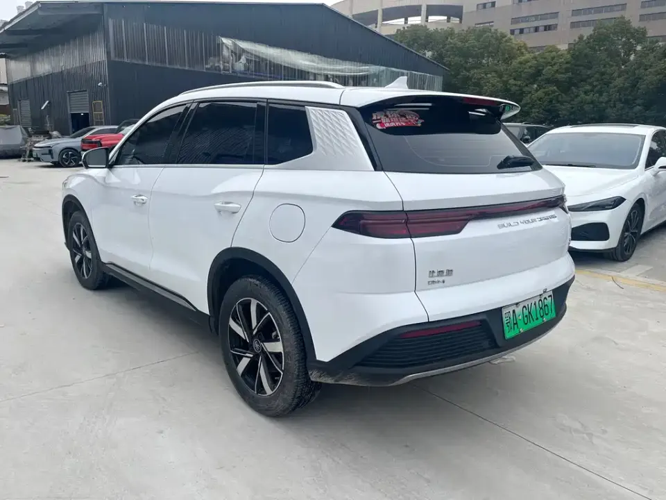 BYD Pro New Energy