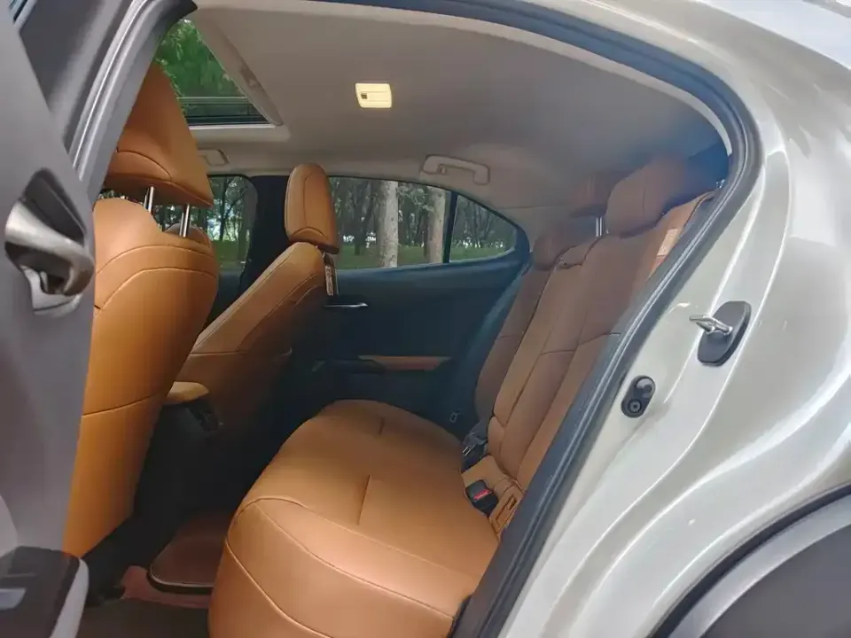 Lexus UX New Energy