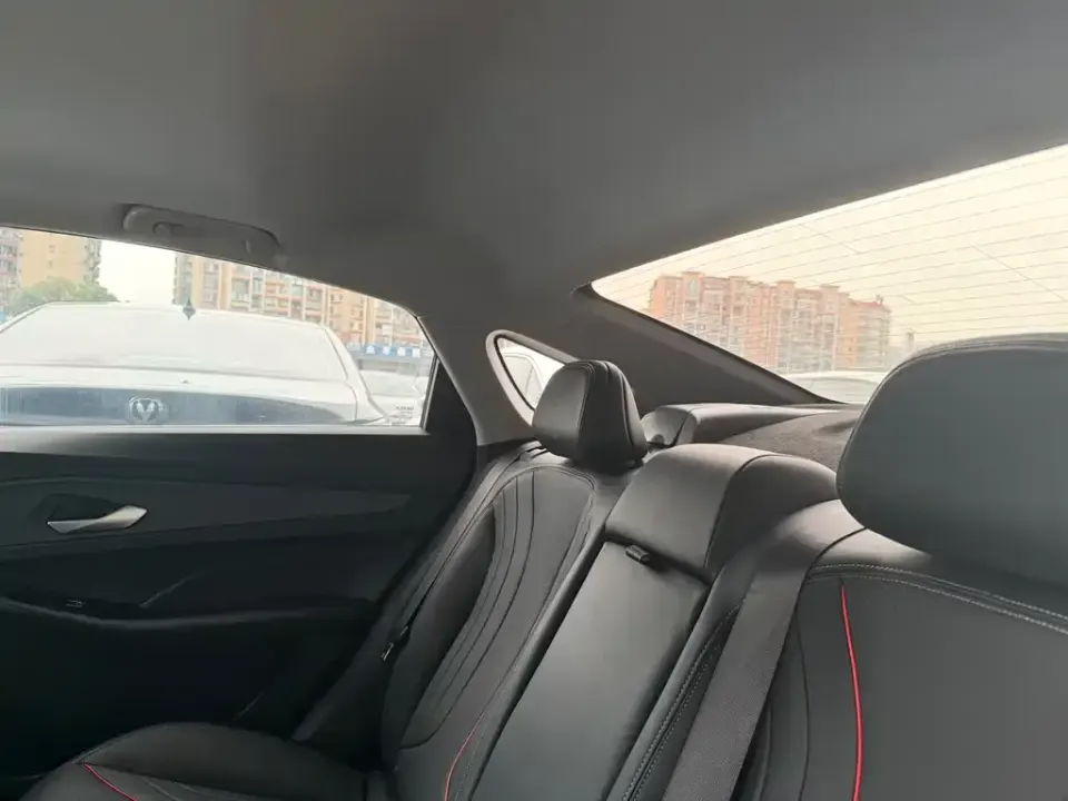 Geely Binrui