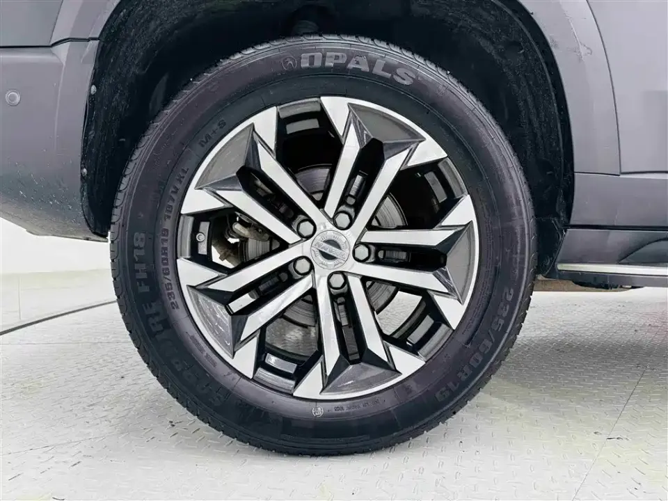 Haval Big Dog