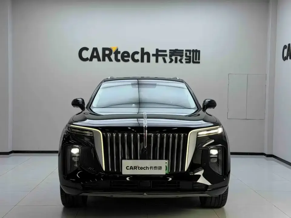 Hongqi Hongqi E-HS9