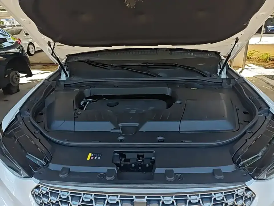 WEY Wey VV6