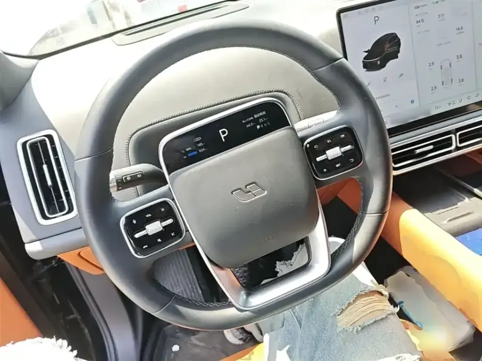 Li Li L9