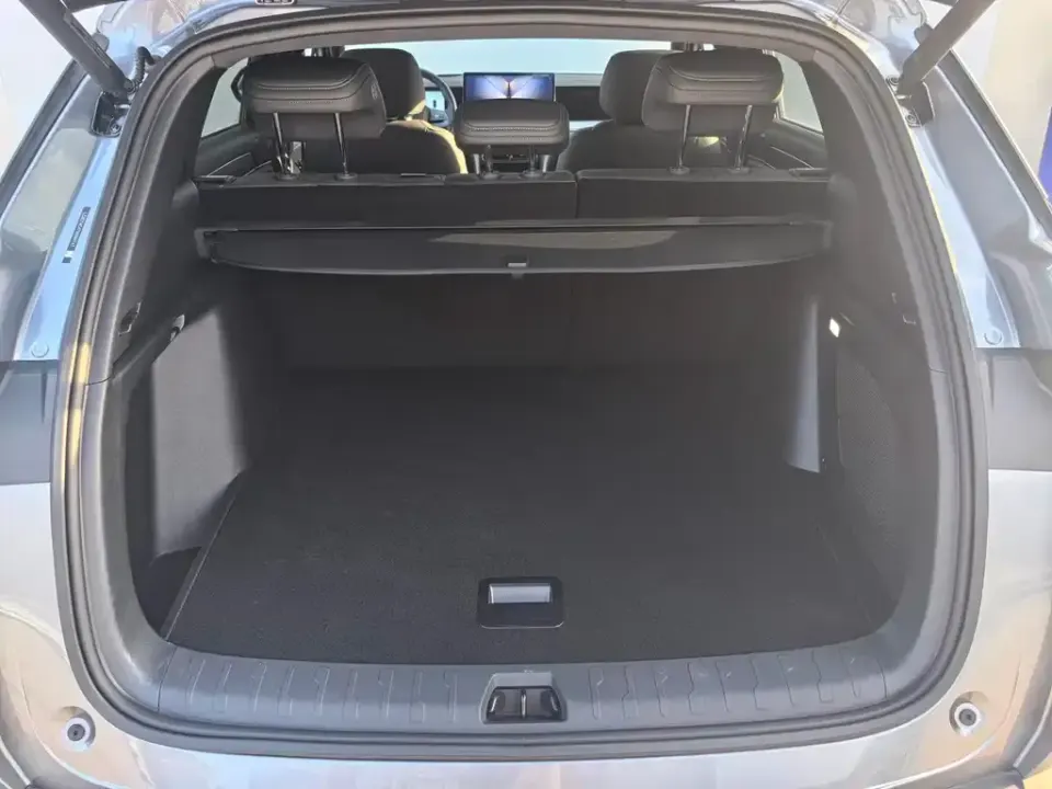 BYD L DM-i