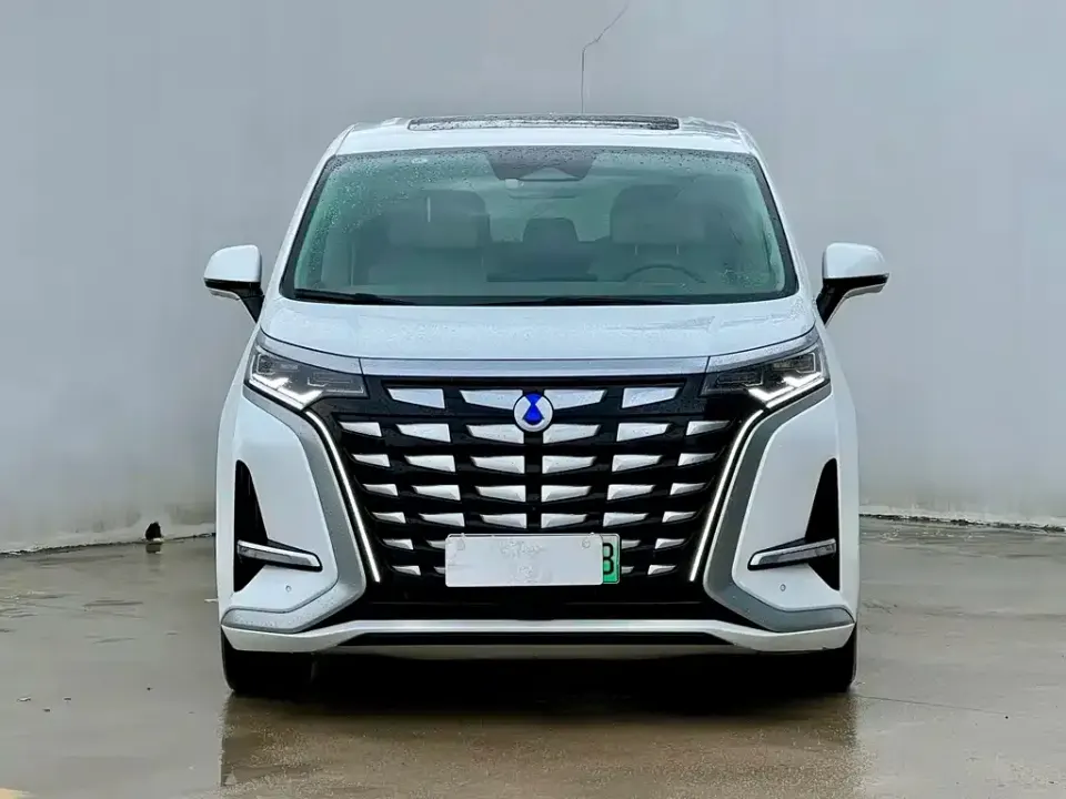 Denza Denza D9