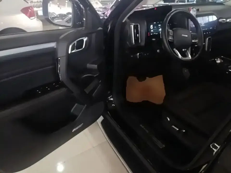 Haval Big Dog