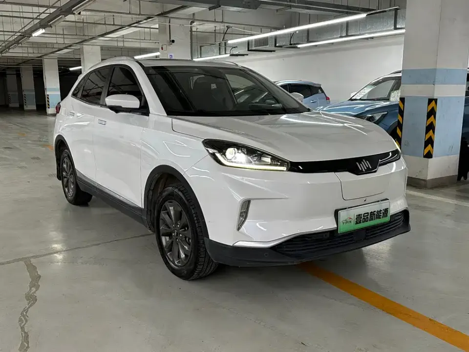 WM Motor EX5