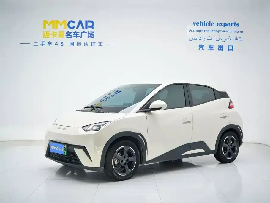 BYD Seagull