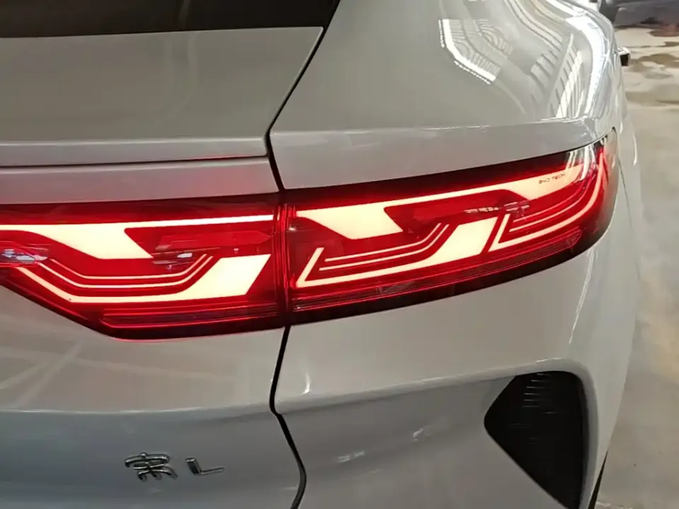 BYD L EV
