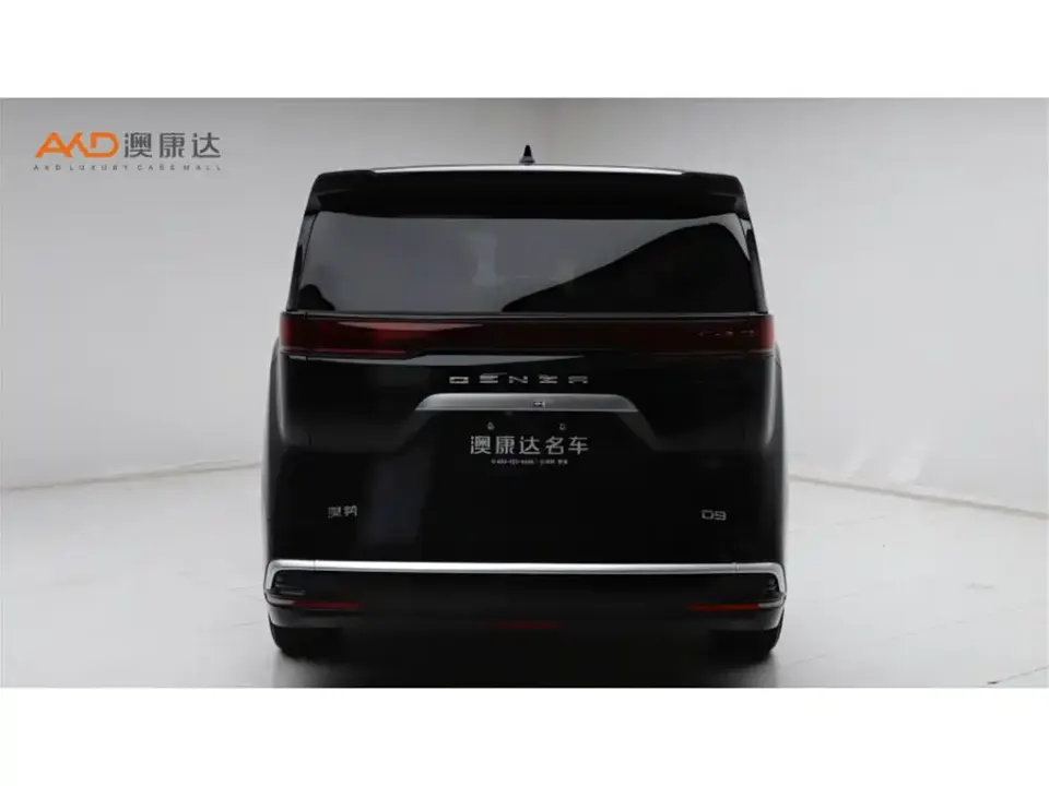Denza Denza D9