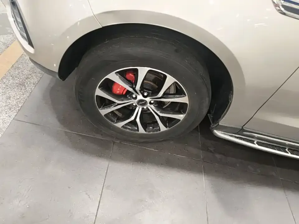 Zotye Zotye T600