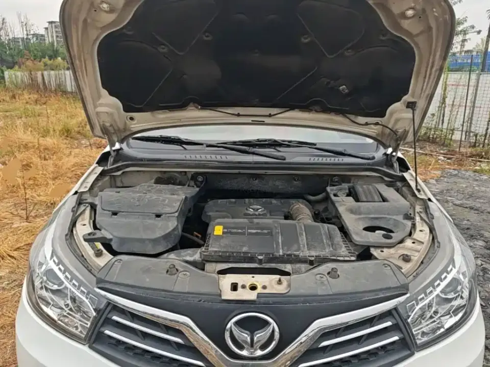 Huasu Huansu S2