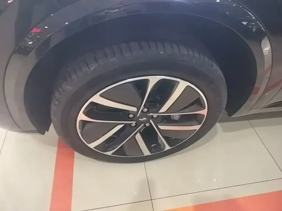 Li Li L9