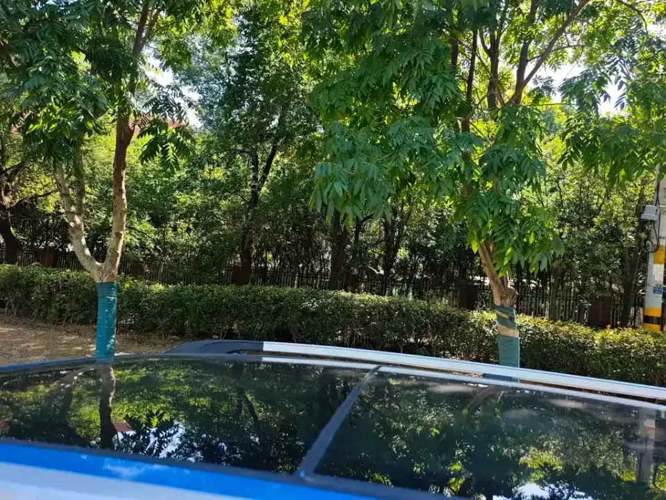 Fengguang Fengguang S560
