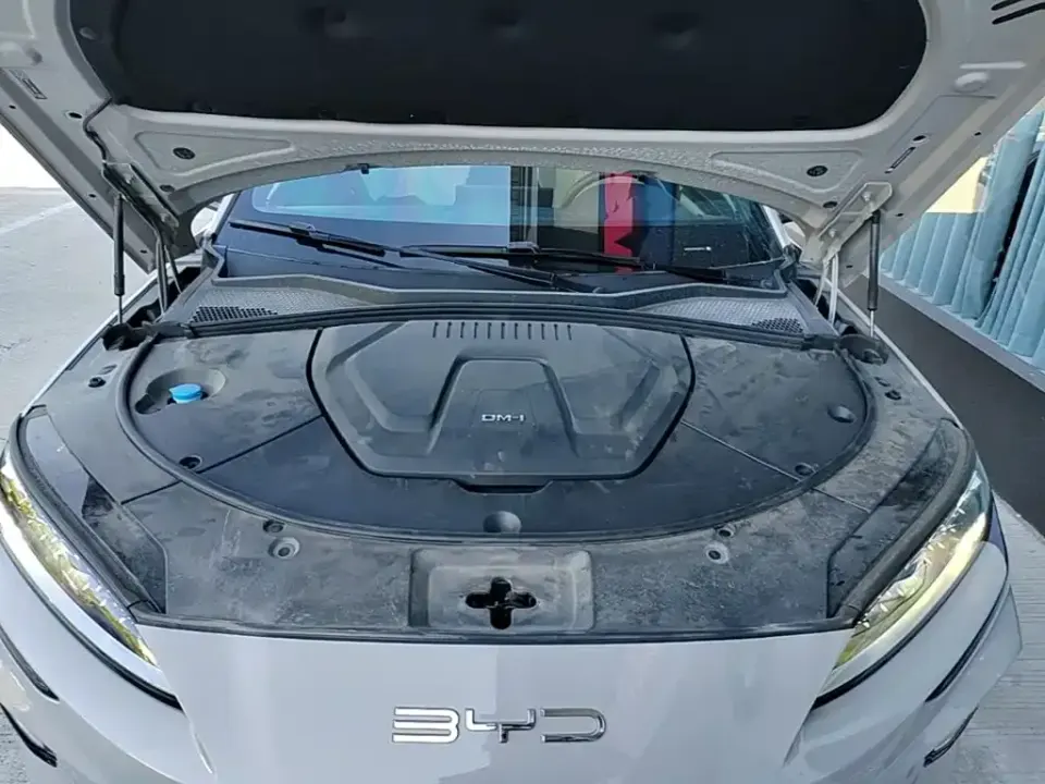 BYD PLUS New Energy