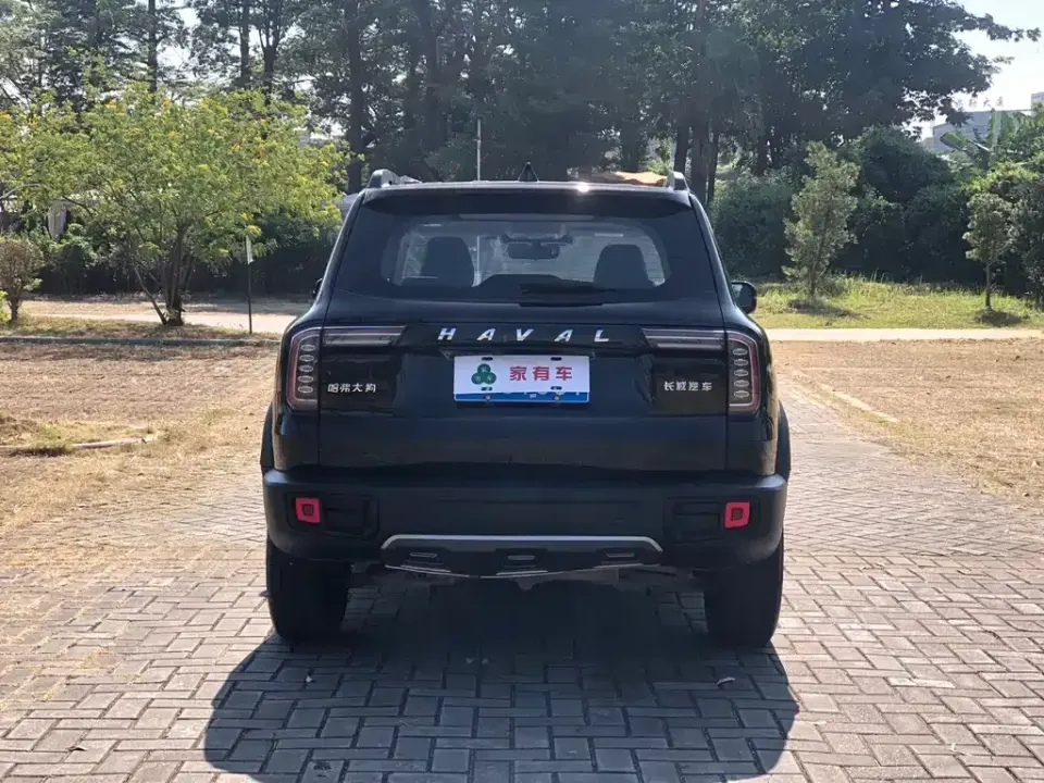 Haval Big Dog