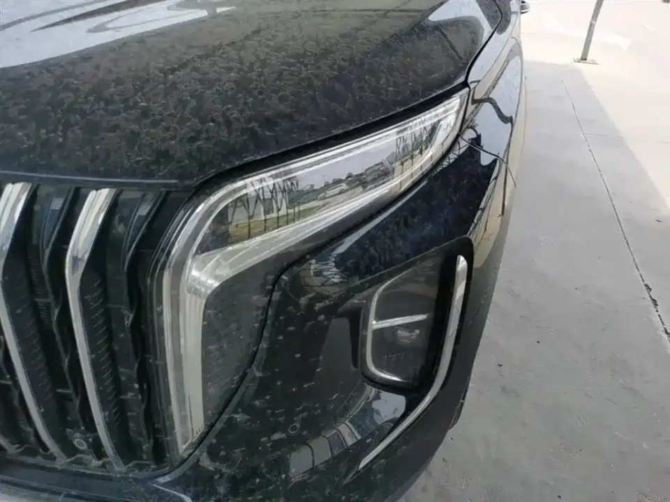 Hongqi Hongqi HS7 PHEV