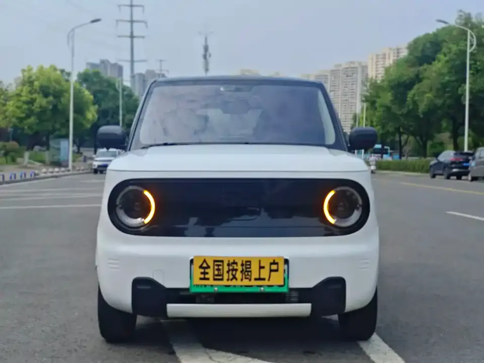 Galaxy Panda