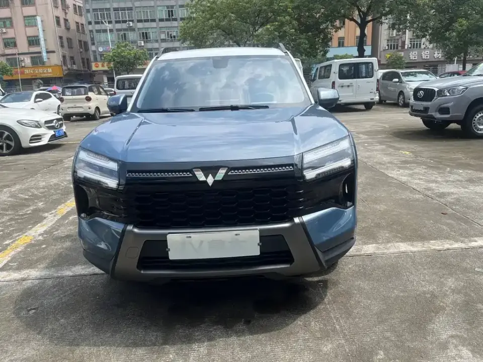 Wuling Xingguang 560 New Energy