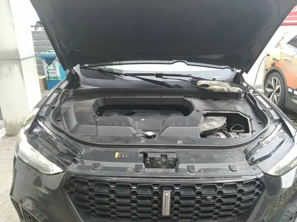WEY Wey VV6