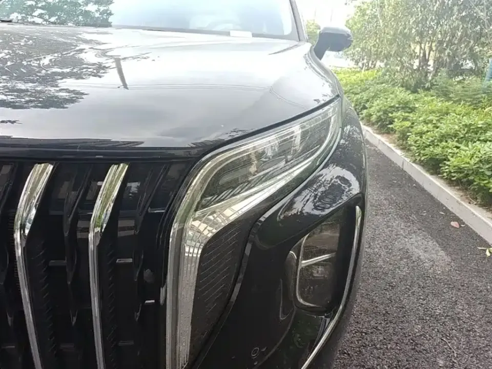 Hongqi Hongqi HS7 PHEV