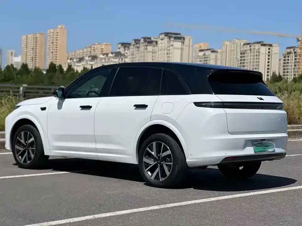 Li Li L6