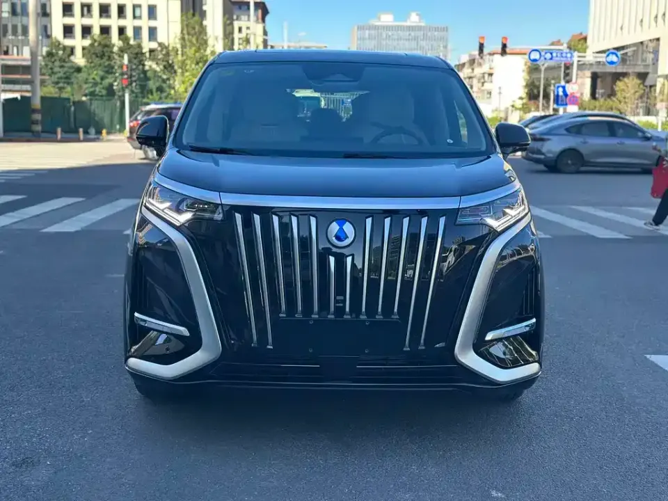 Denza Denza D9