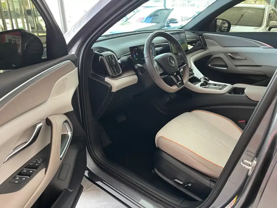 BYD Pro New Energy