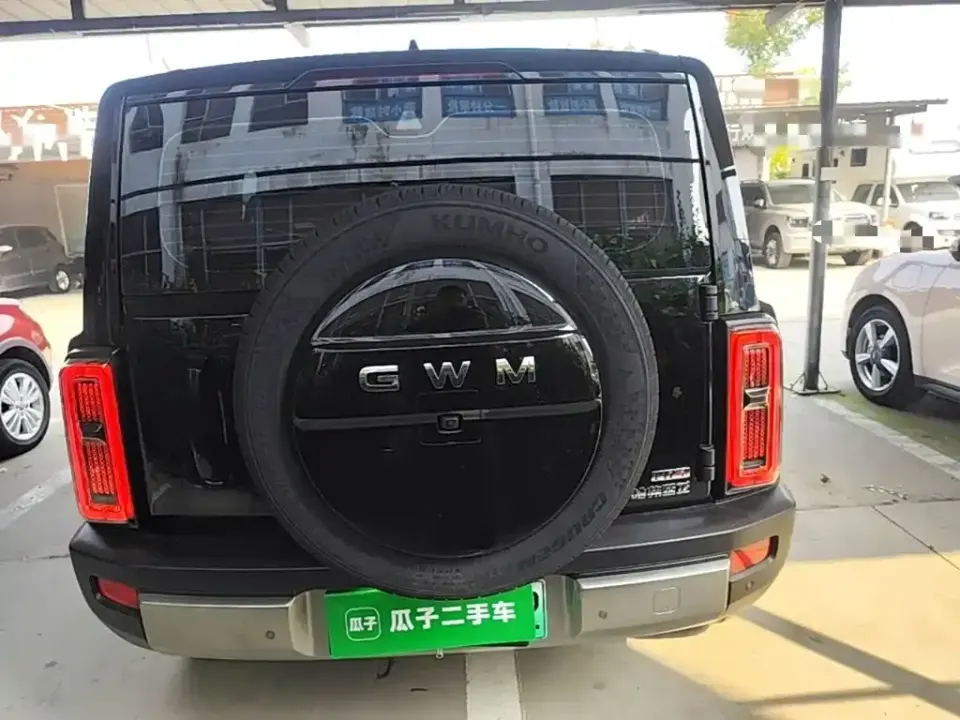 Haval Menglong New Energy