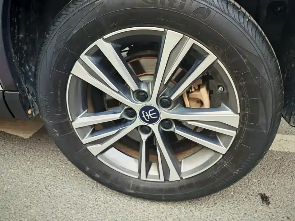 BYD Pro New Energy