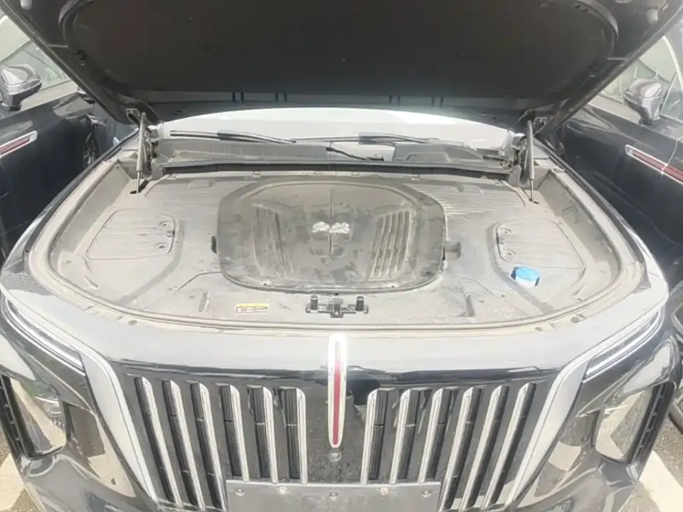 Hongqi Hongqi E-HS9