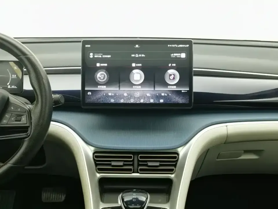 BYD Pro