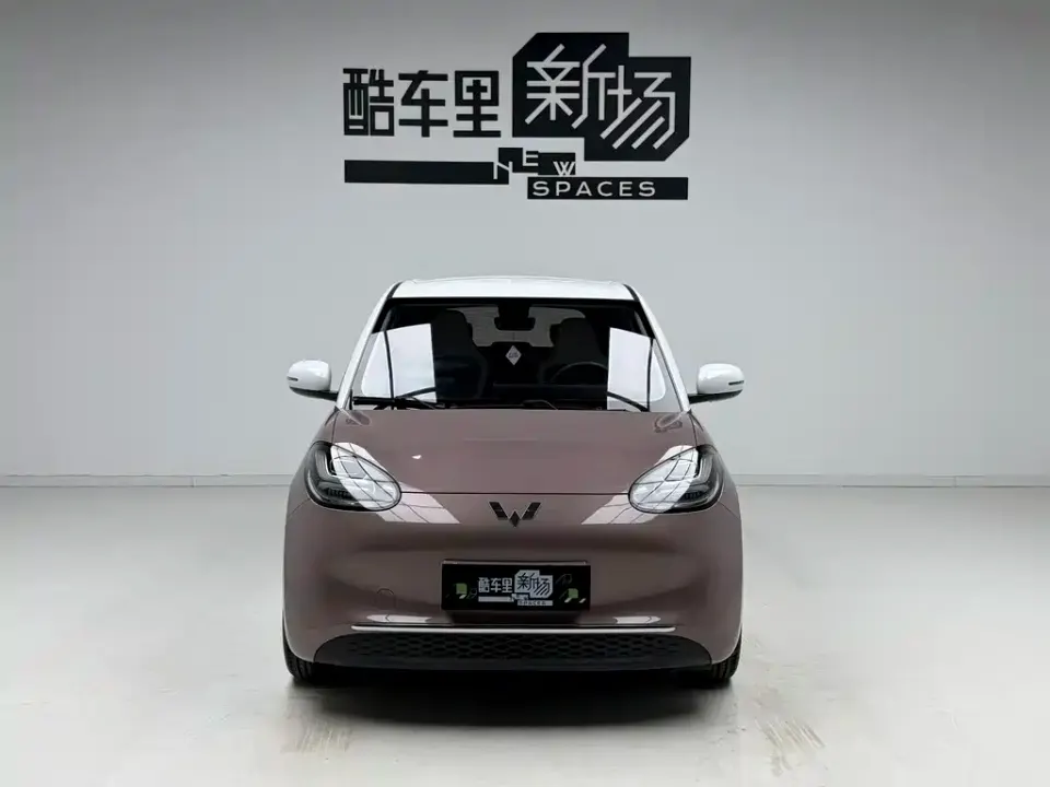 Wuling Bingo