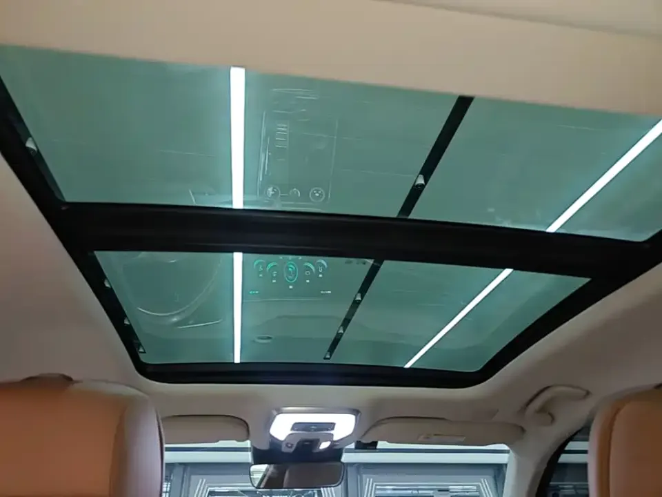 Hongqi Hongqi H9