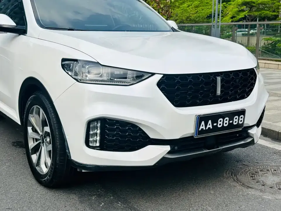 WEY Wey VV6