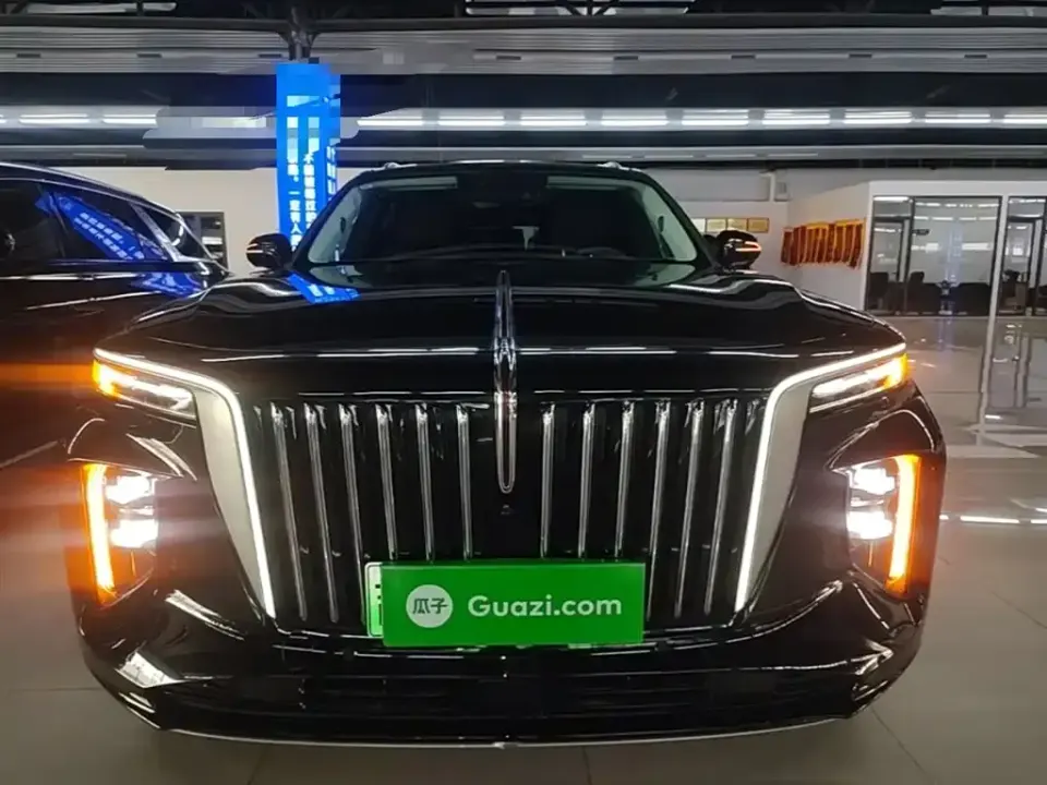 Hongqi Hongqi E-HS9