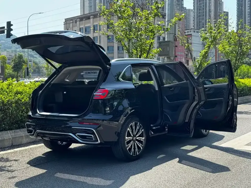 Hongqi Hongqi HS5