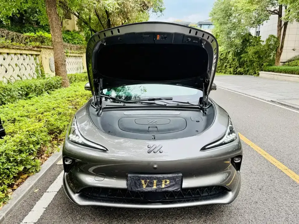 IM Motors IM LS6