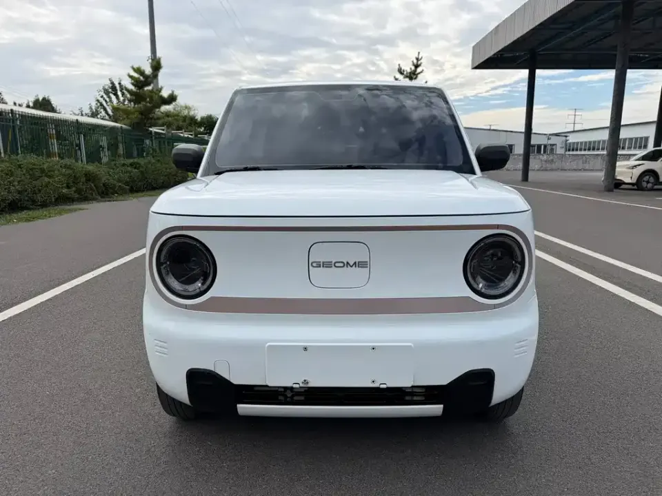 Galaxy Panda