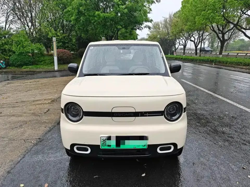 Galaxy Panda