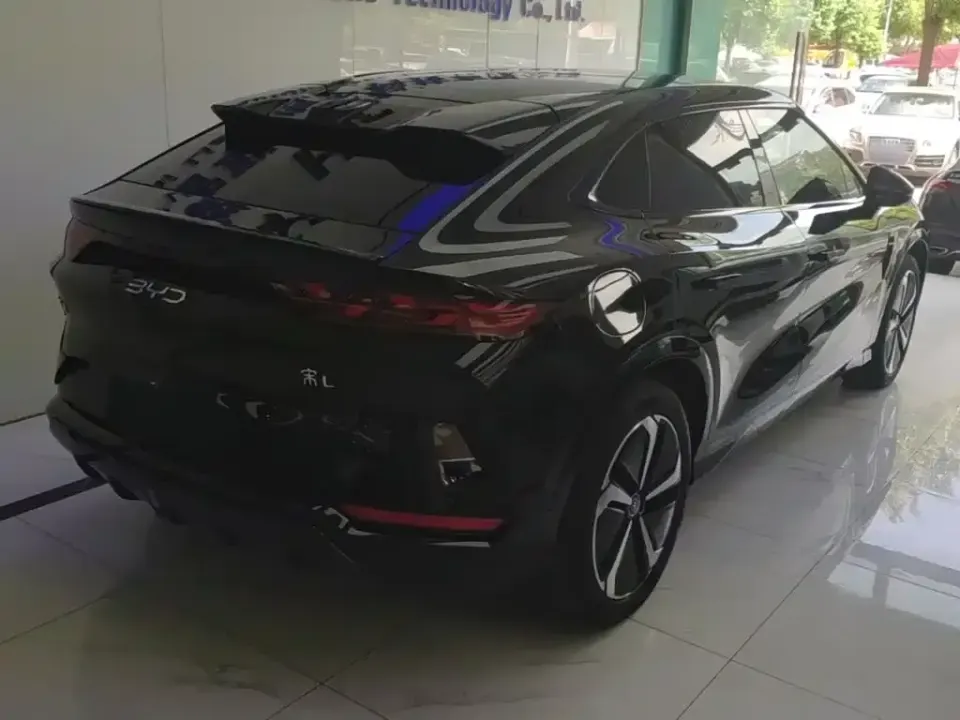 BYD L EV