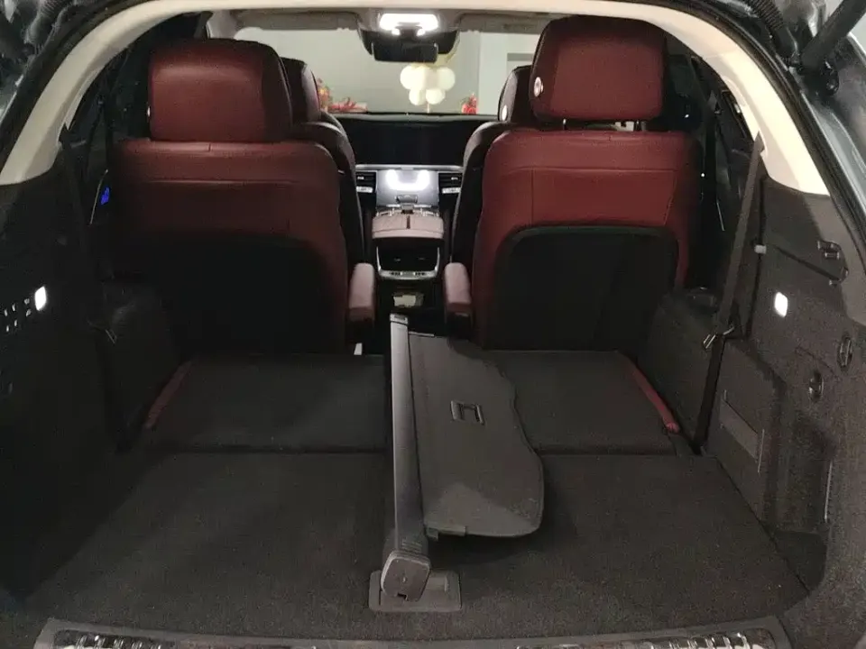 Hongqi Hongqi E-HS9