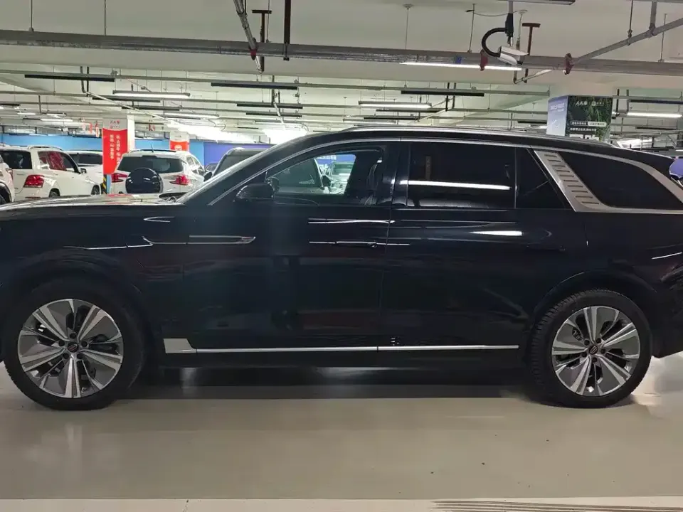 Hongqi Hongqi E-HS9