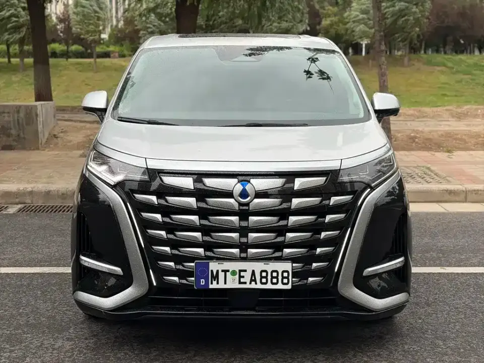 Denza Denza D9