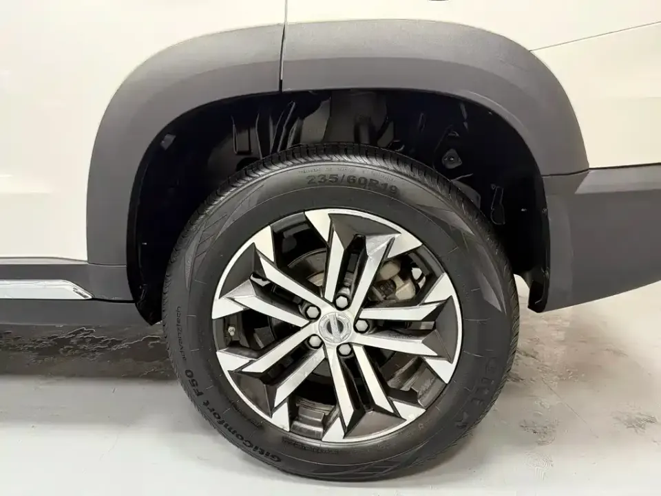 Haval Big Dog
