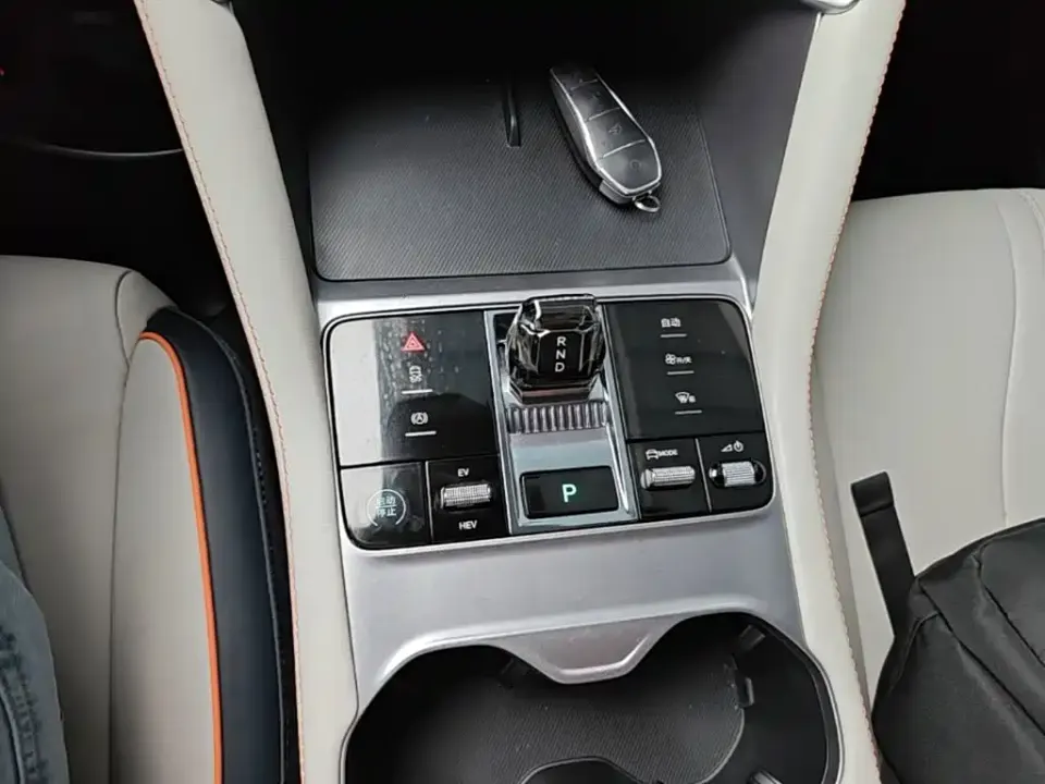 BYD PLUS New Energy