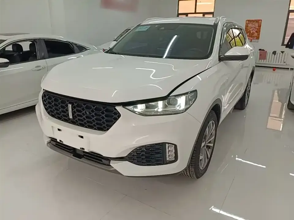WEY Wey VV6