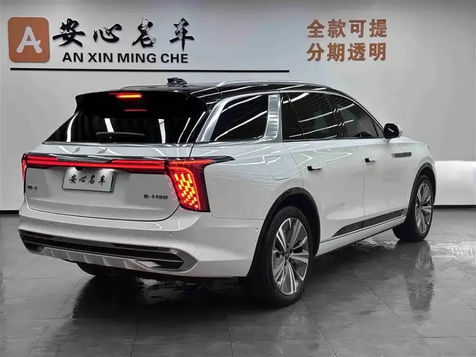 Hongqi Hongqi E-HS9