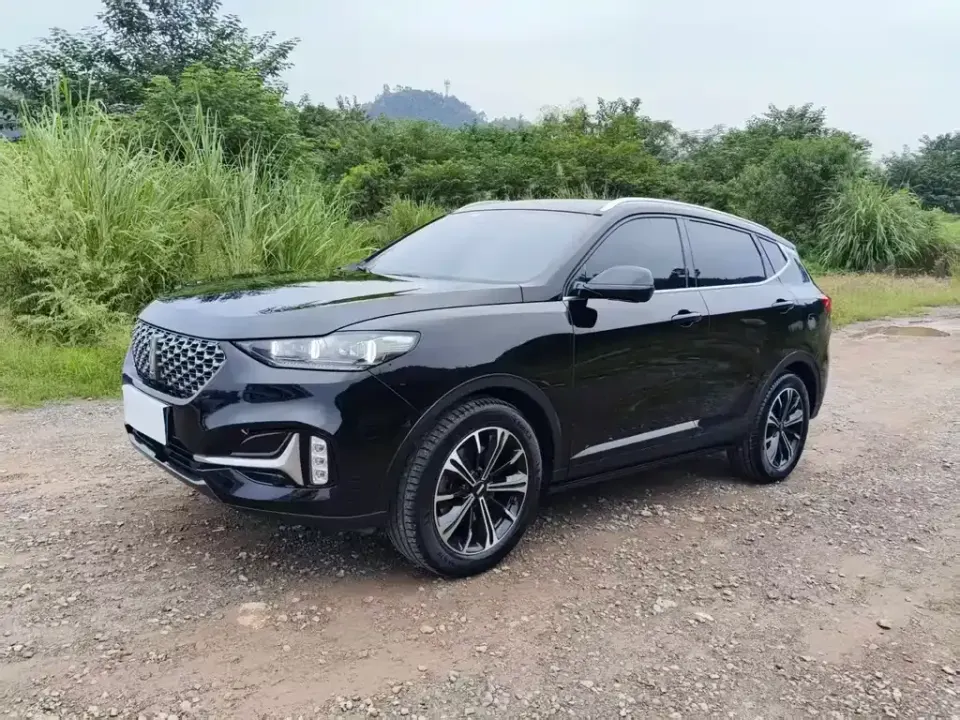 WEY Wey VV6
